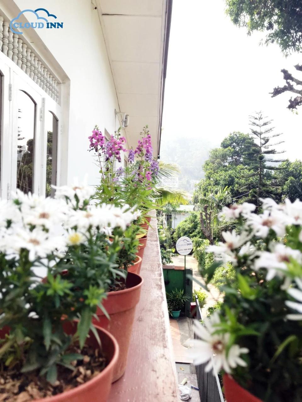 Cloud Inn Kandy Homestay المظهر الخارجي الصورة